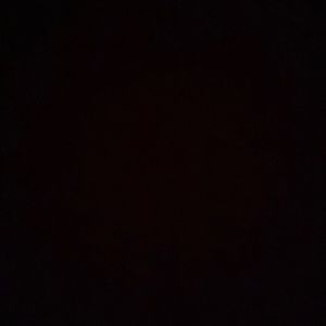 Meet your Posher, Maeve